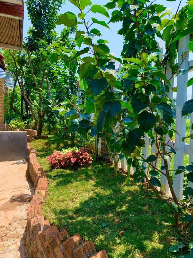Tam Coc Mandala Villa & Homestay نينه بينه المظهر الخارجي الصورة